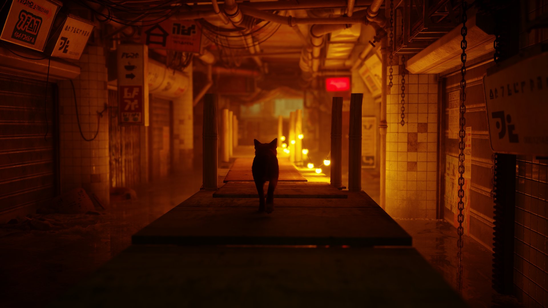 Stray-image-13-1920×1080-1