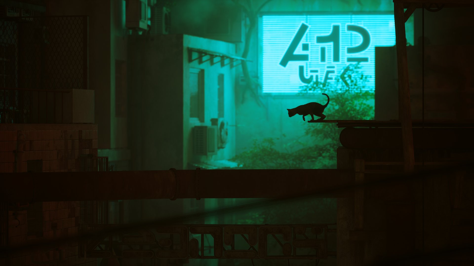 Stray-image-16-1920×1080-1