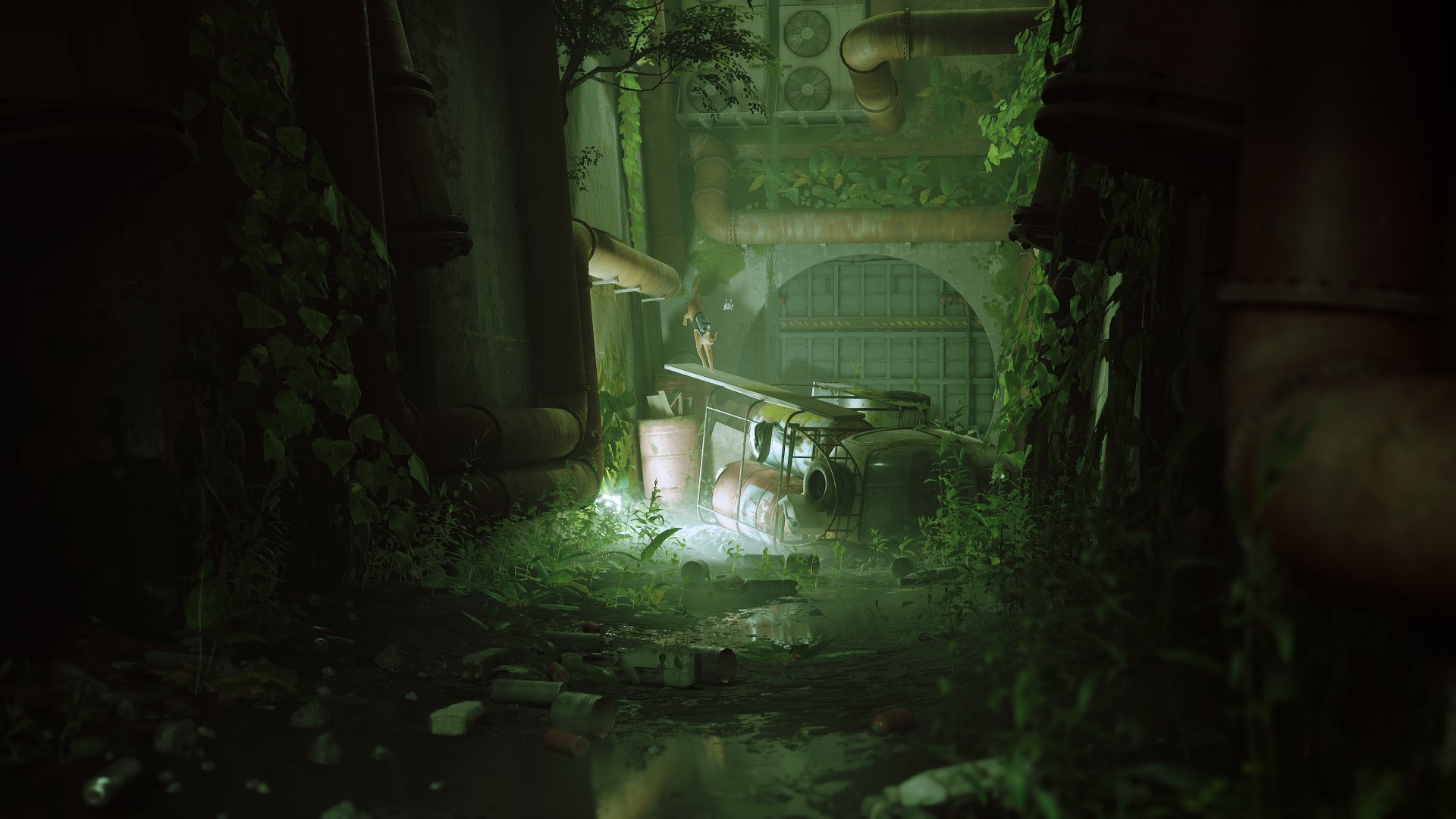 Stray-image-3-1920×1080-1